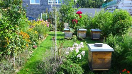 Gartenansicht mit Bienenkästen