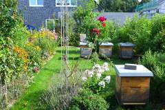 Gartenansicht mit Bienenkästen