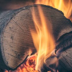 Brennendes Holzstück mit lodernder Flamme.